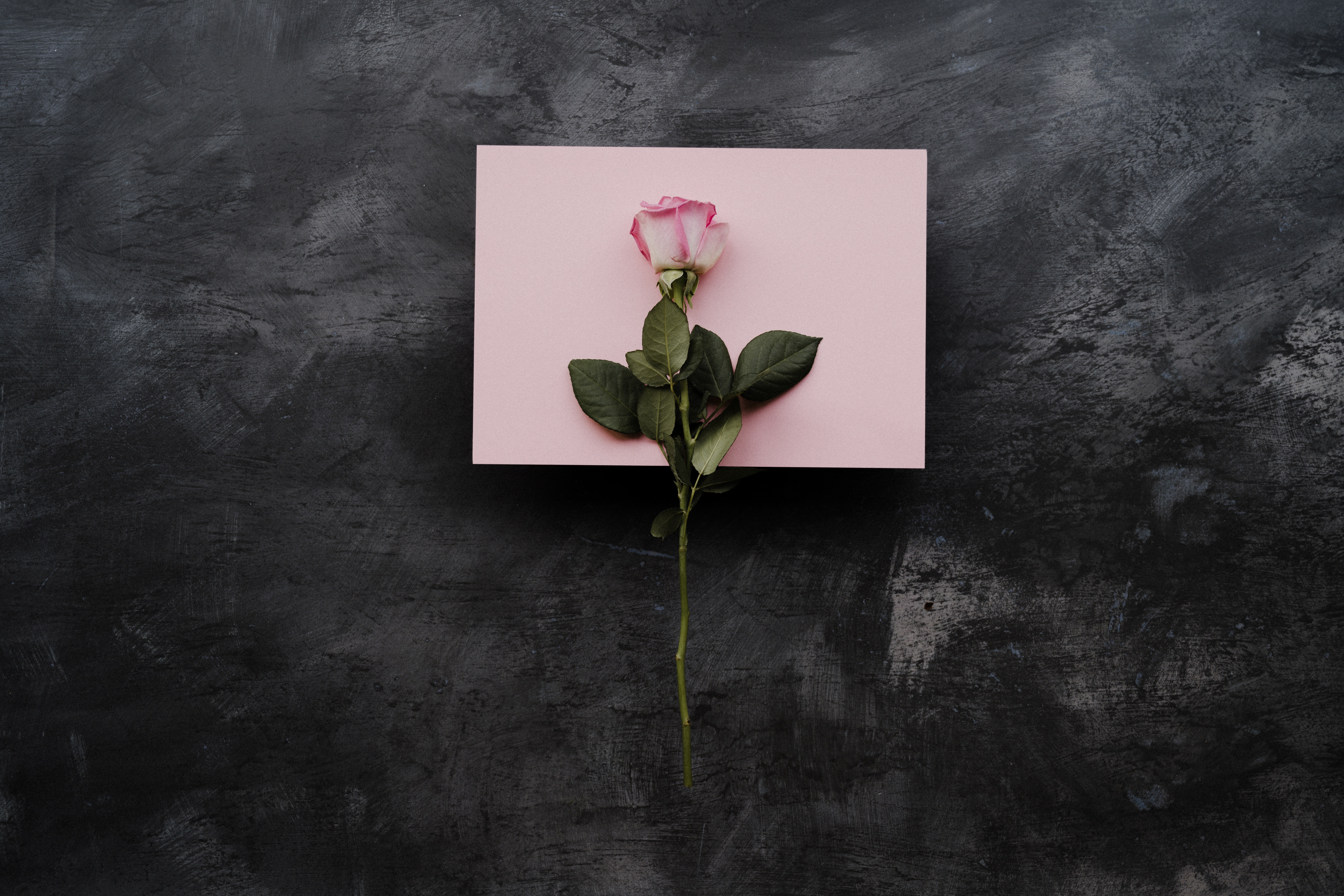 annie-spratt-Jzmmbwx5xg0-unsplash