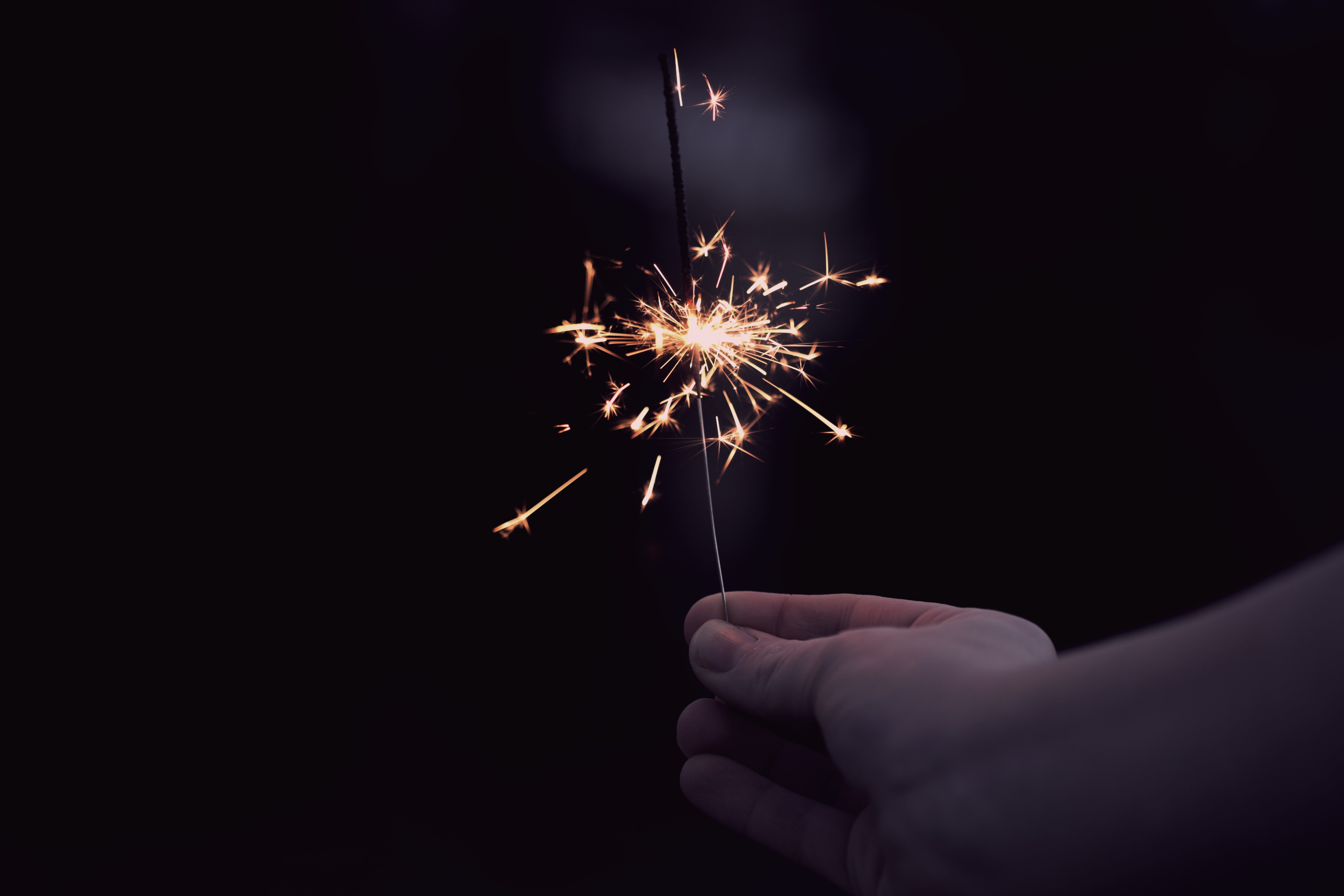 sharon-mccutcheon-srCeIHW5Gtk-unsplash